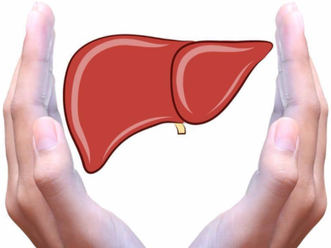 Tác dụng của Betaine đối với gan