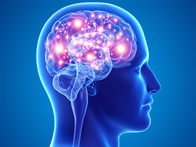 Giá trị dinh dưỡng của Choline Chloride đối với cơ thể